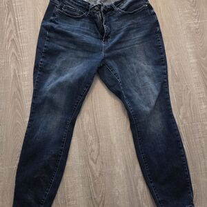 Judy Blue 18W Skinny Jeans